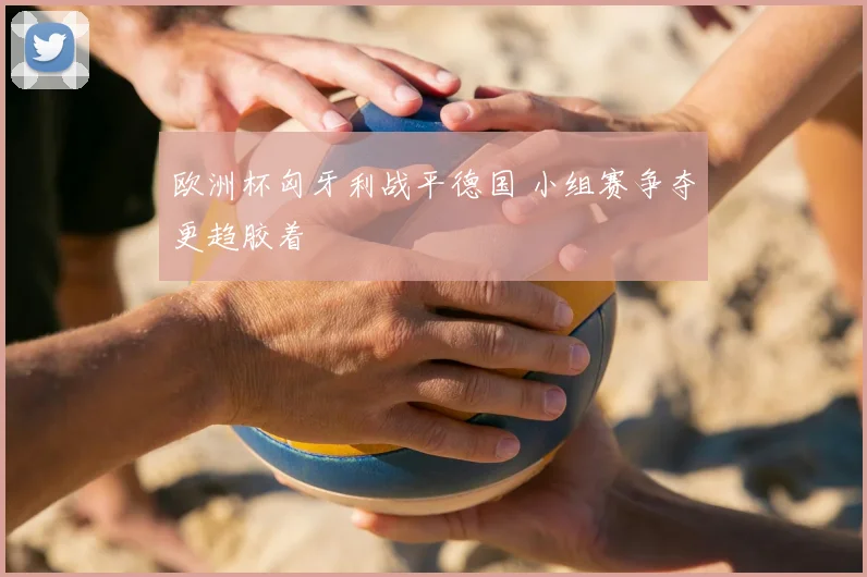 欧洲杯匈牙利战平德国 小组赛争夺更趋胶着