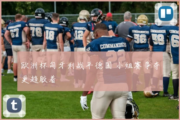 欧洲杯匈牙利战平德国 小组赛争夺更趋胶着