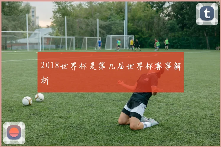 2018世界杯是第几届世界杯赛事解析