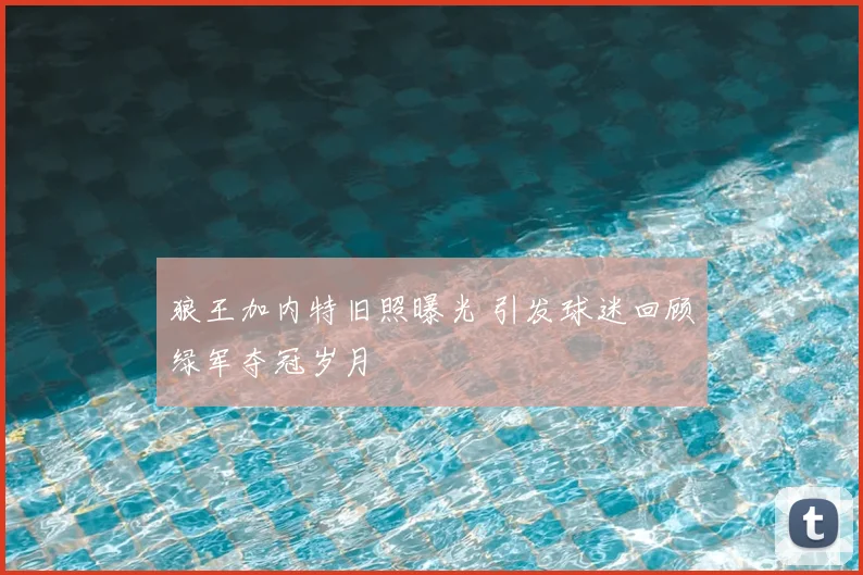 狼王加内特旧照曝光 引发球迷回顾绿军夺冠岁月