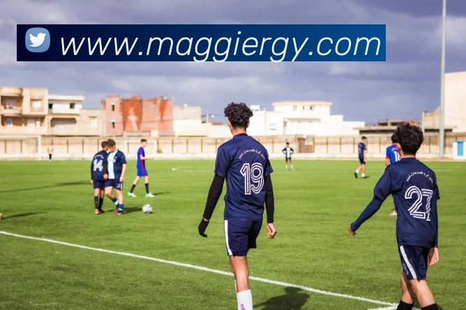 世界杯官网登录app平台生态图